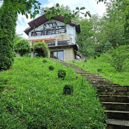 Vila Gigi, Ideala Pentru Relaxare Si Distractie! Breaza  Exterior photo