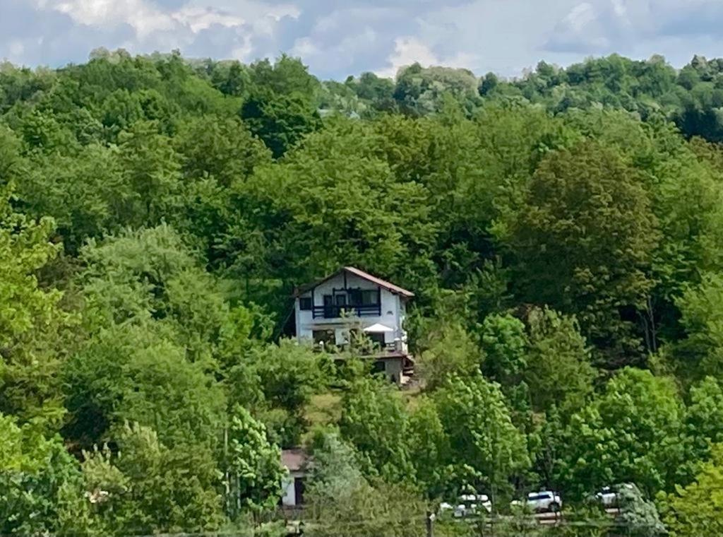 Vila Gigi, Ideala Pentru Relaxare Si Distractie! Breaza  Exterior photo