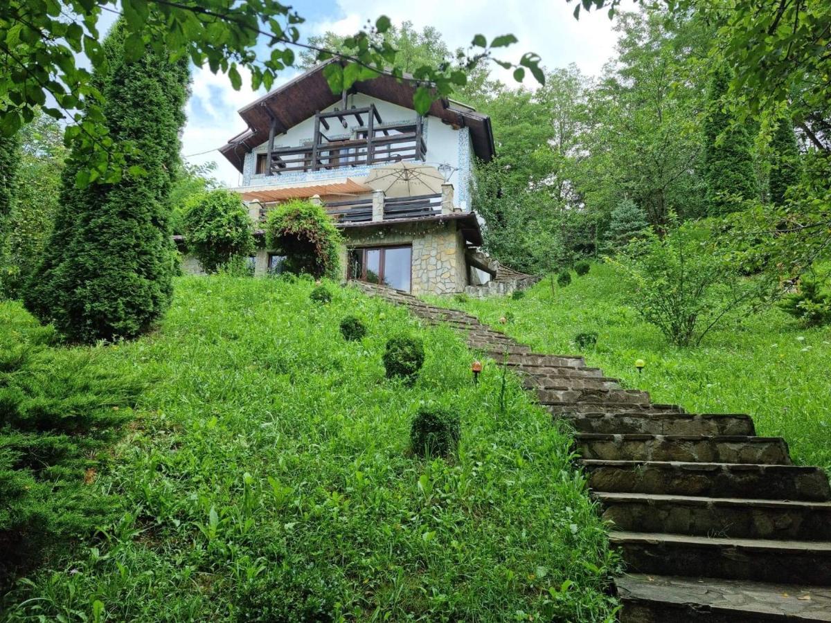 Vila Gigi, Ideala Pentru Relaxare Si Distractie! Breaza  Exterior photo