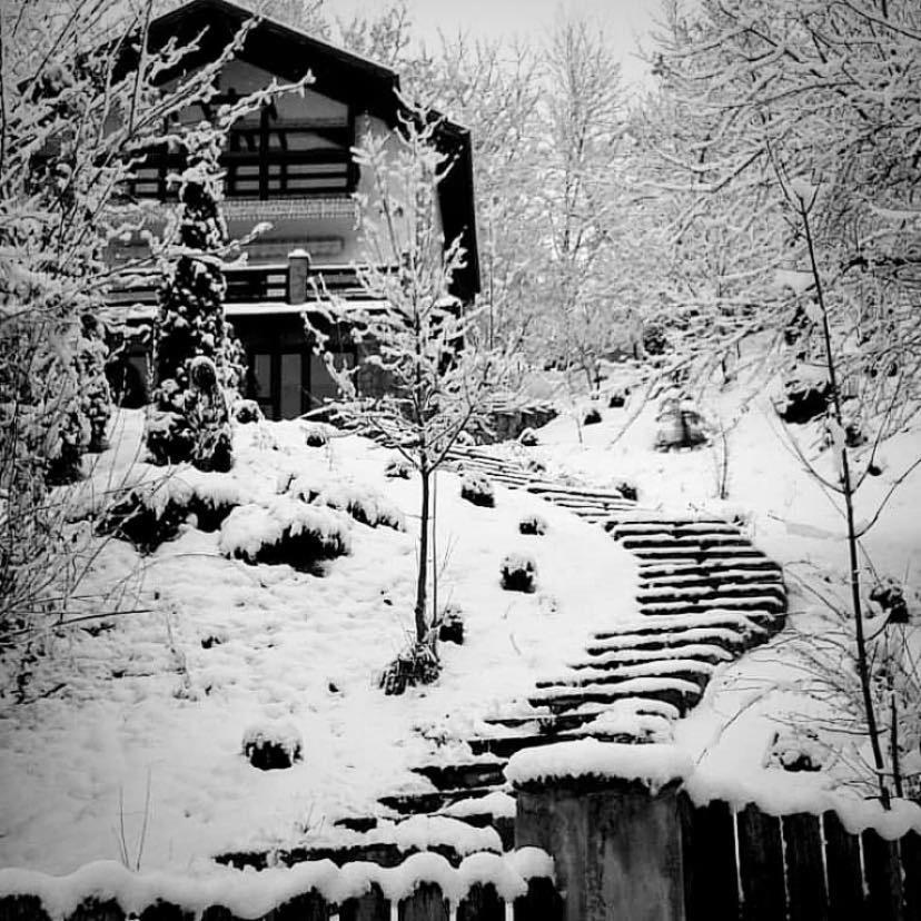 Vila Gigi, Ideala Pentru Relaxare Si Distractie! Breaza  Exterior photo
