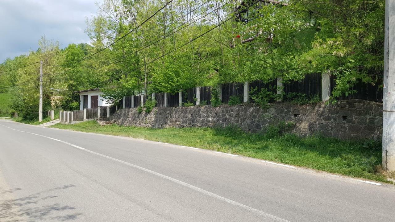 Vila Gigi, Ideala Pentru Relaxare Si Distractie! Breaza  Exterior photo