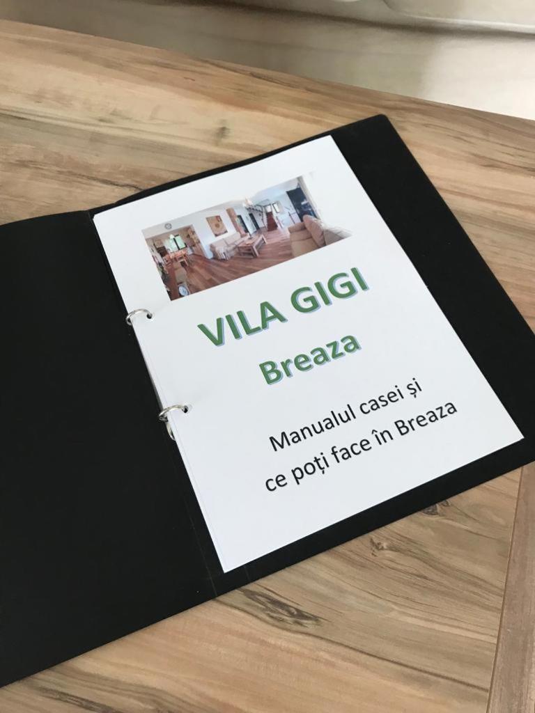 Vila Gigi, Ideala Pentru Relaxare Si Distractie! Breaza  Exterior photo